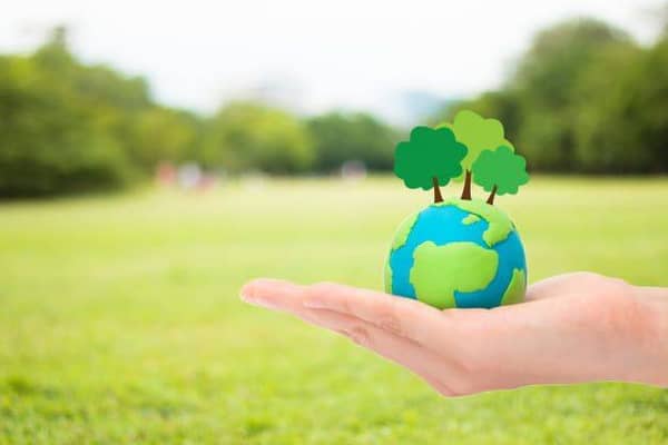 A importância de medidas para preservação do meio ambiente