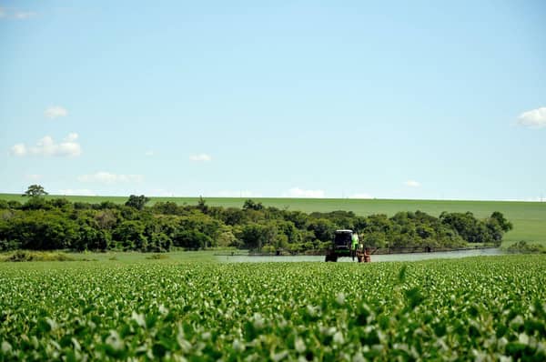 A questão do uso de agrotóxicos no Brasil