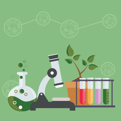 O que mais cai no ENEM em Biologia