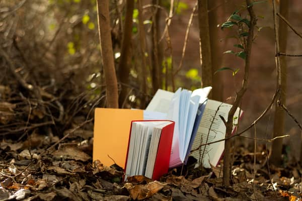 Os desafios da invisibilidade da literatura brasileira de autoria feminina